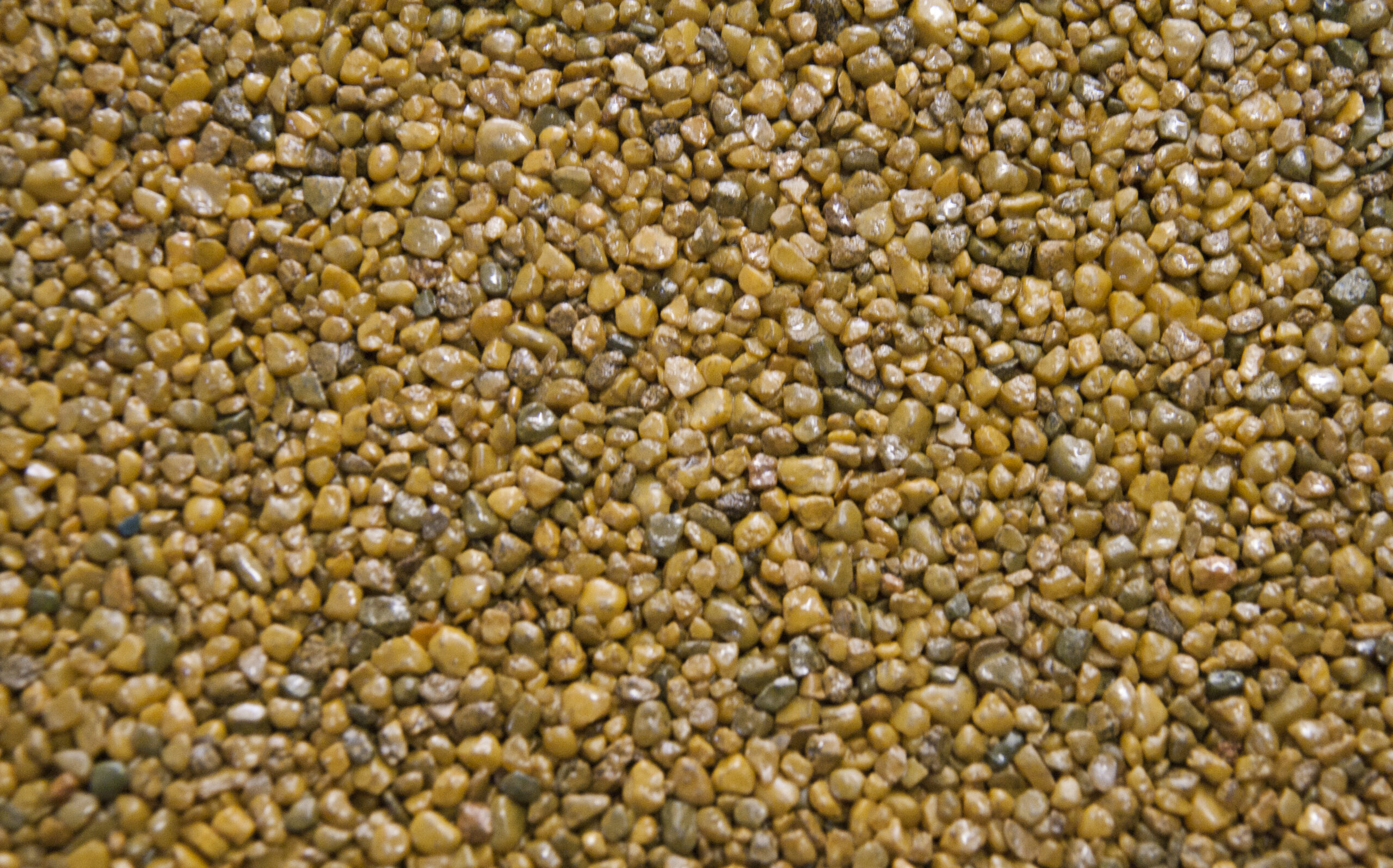 nawierzchnia ekoway z barwionego kruszywa koloru żółtego