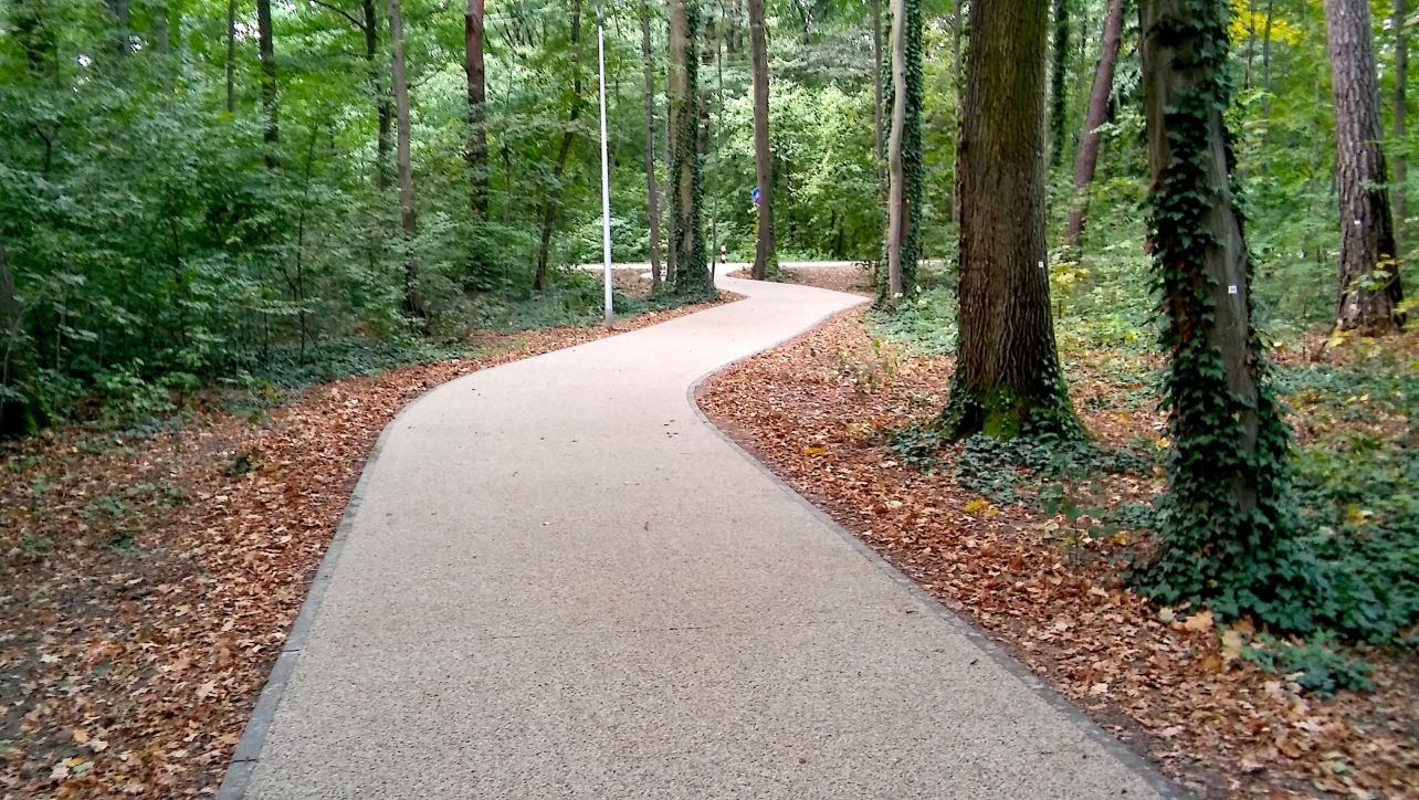 ścieżka rowerowa z nawierzchni ekoway w lesie