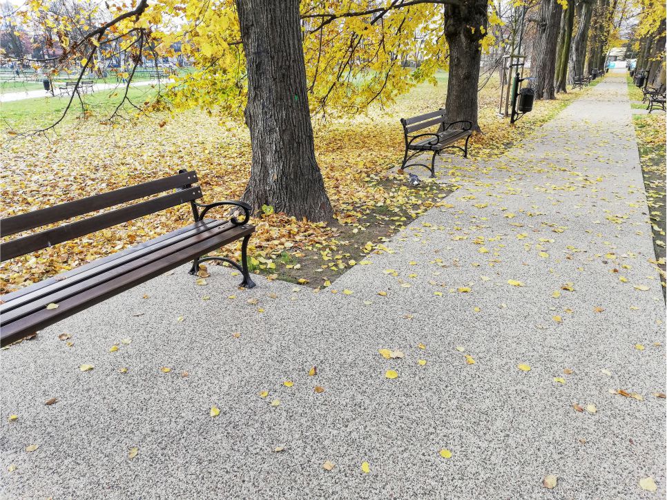 nawierzchia wodoprzepuszczalna ekoway jako ściezka wzdłuż drzew