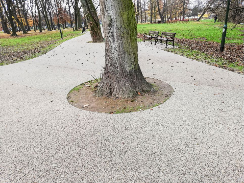 nawierzchnia wodoprzepuszczalna ekoway jako opaska wokół drzewa